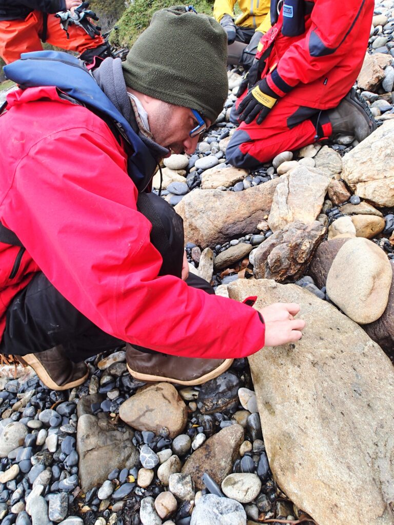 Collecting otter poop