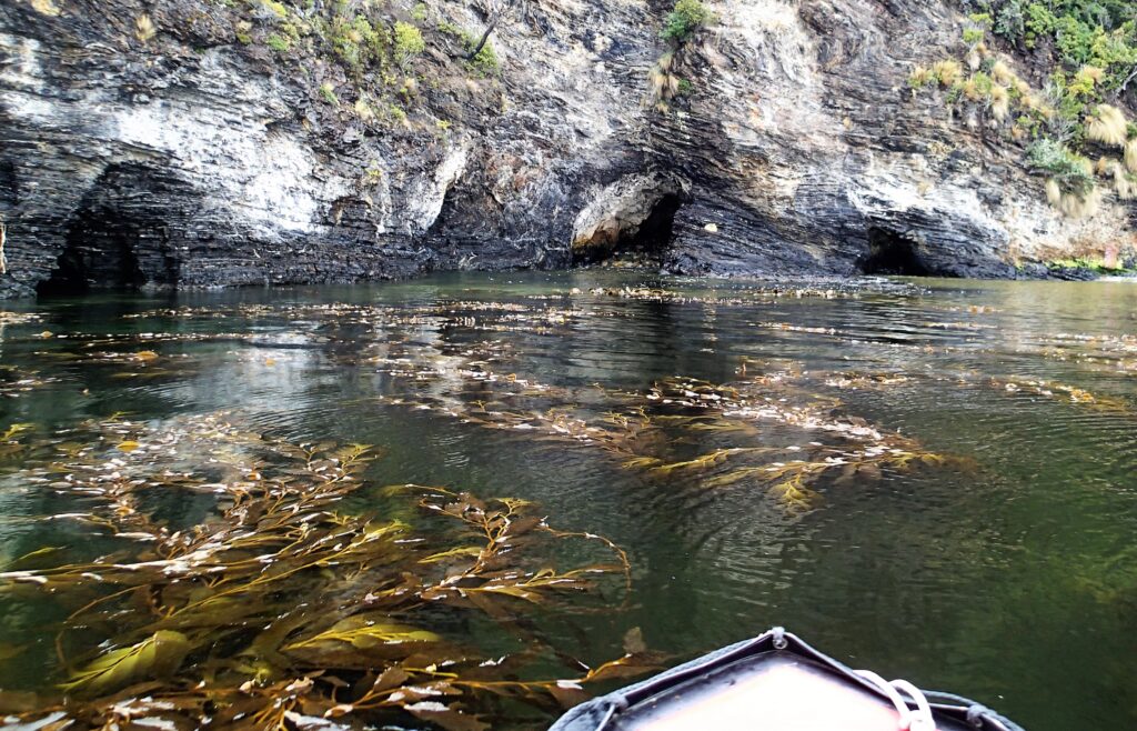approaching the caves of Allen Gardiner